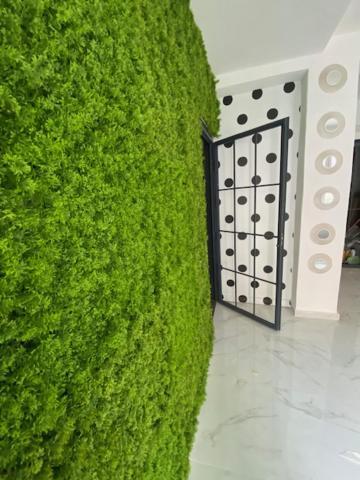 Suite 43 Terrasini Buitenkant foto